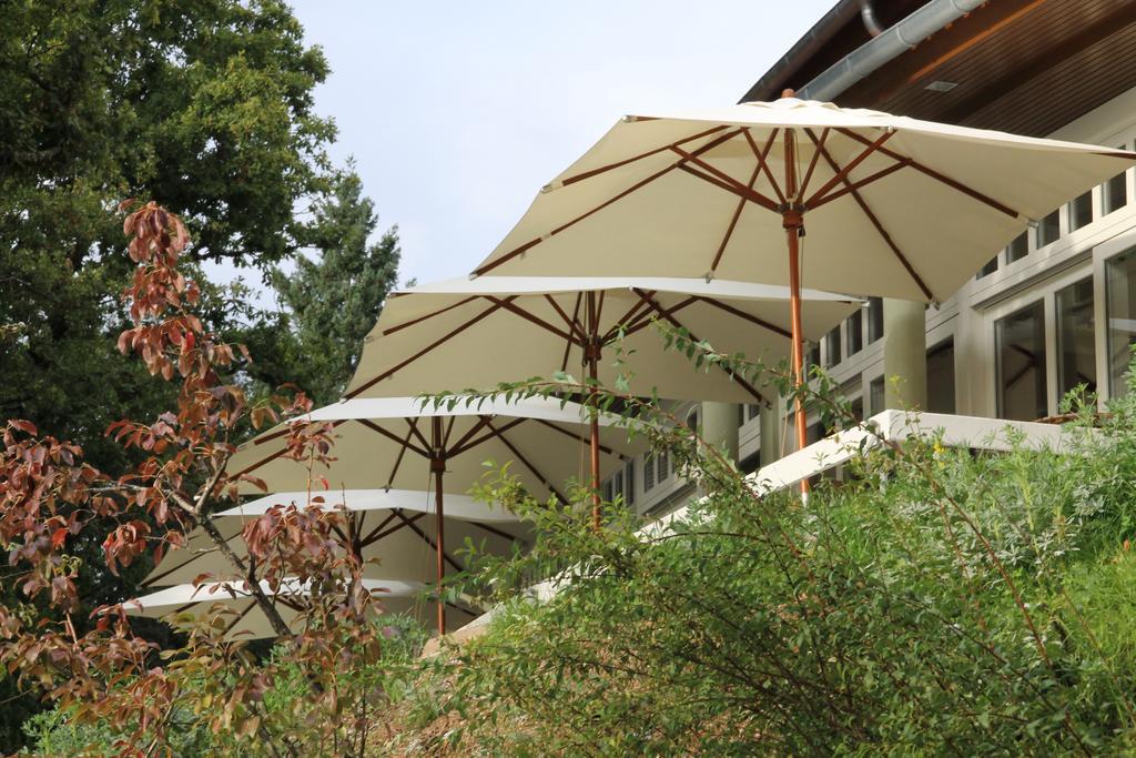 ג'רס Hotel Rural Misarela מראה חיצוני תמונה